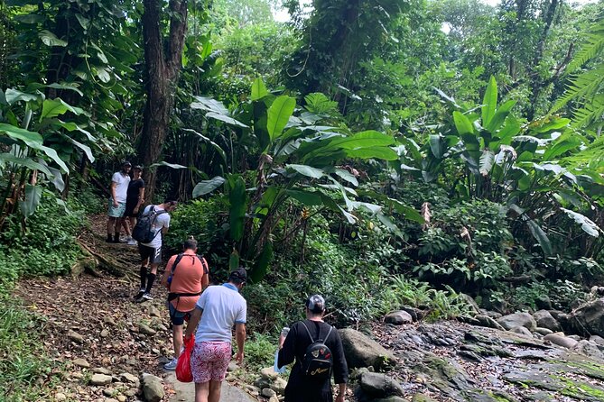 Rainforest Nature Walk & Luquillo Beach Combo - Guides can make or break the day