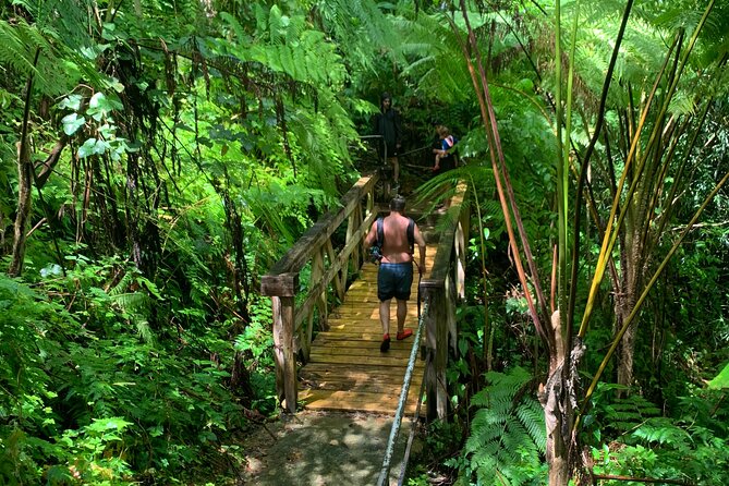 Rainforest Nature Walk & Luquillo Beach Combo - Practical tips for a smoother day
