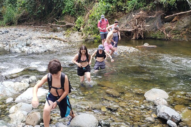Rainforest River Hike and Waterfalls Adventure - What the $80 price includes