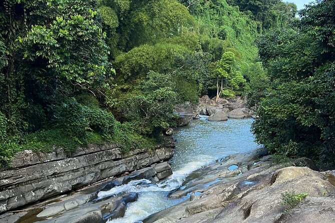 Rainforest Waterfall Slides/Adult Drinks included/ Beach - Who will enjoy this most?