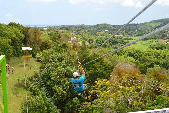 Rainforest Zipline in Foothills of the National Rainforest - Eight lines, with the best saved for last
