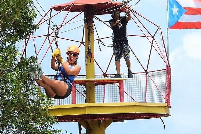 Rainforest Zipline in Foothills of the National Rainforest - What the rainforest setting adds