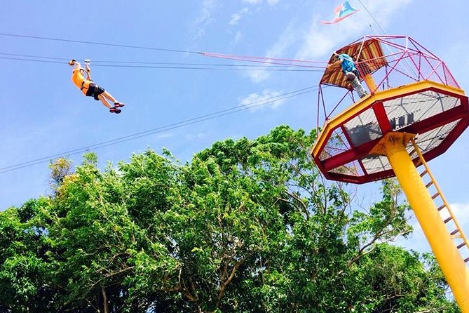Rainforest Zipline in Foothills of the National Rainforest - How long the 1-hour-40-minute visit feels