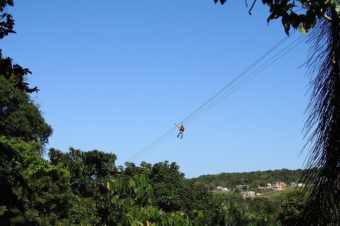Rainforest Zipline in Foothills of the National Rainforest - Clothing, age, weight, and other firm rules