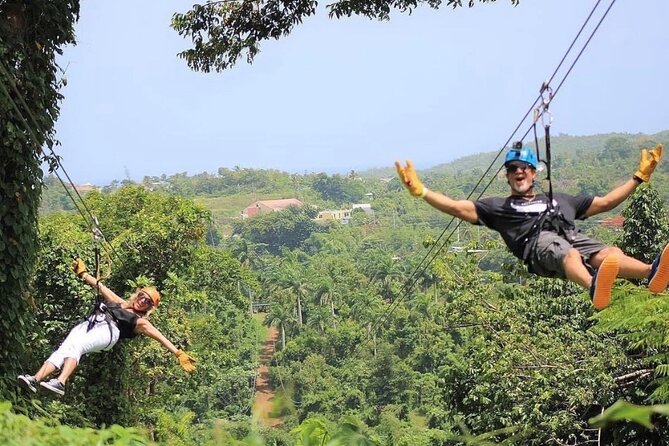 Rainforest Zipline in Foothills of the National Rainforest - Guides who help nervous beginners