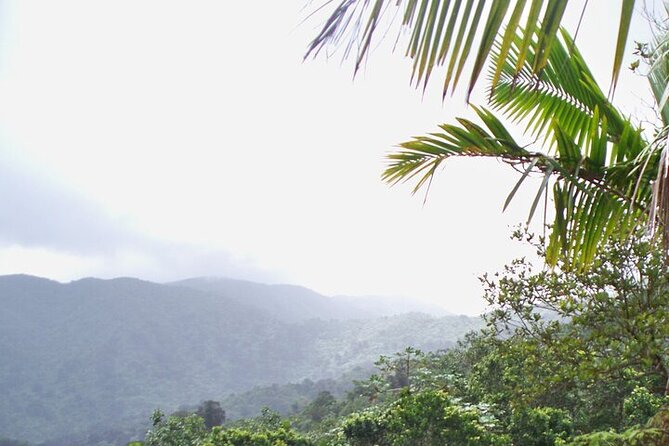 Rainforest Zipline, Luquillo Beach, and Natural Springs Day Trip - Is the $199.99 price fair?