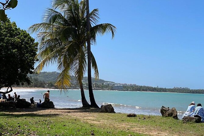 Rainforest Zipline, Luquillo Beach, and Natural Springs Day Trip - Cancellations, weather, and practical limits