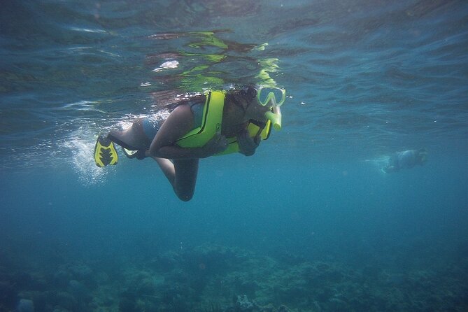Rincon Snorkeling Adventure - Practical tips for a smoother swim