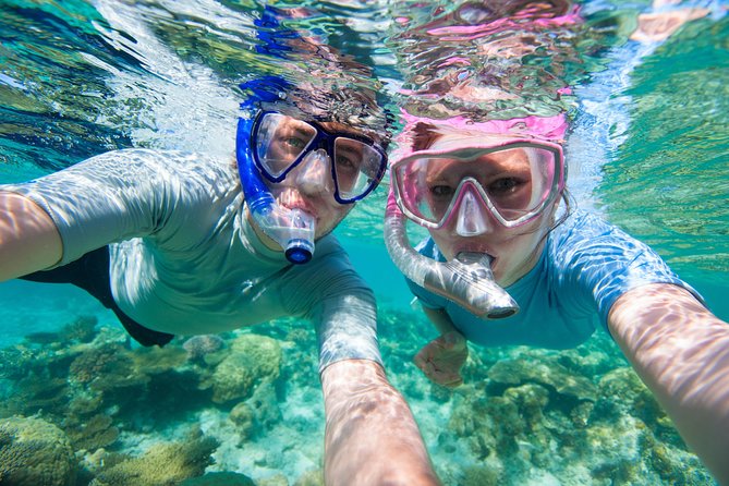 Rincon Snorkeling Adventure - The guide makes a real difference