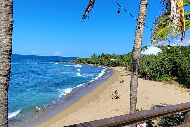 Rincon Tour Sunset & Nightlife Experience - Why this Rincón evening works well
