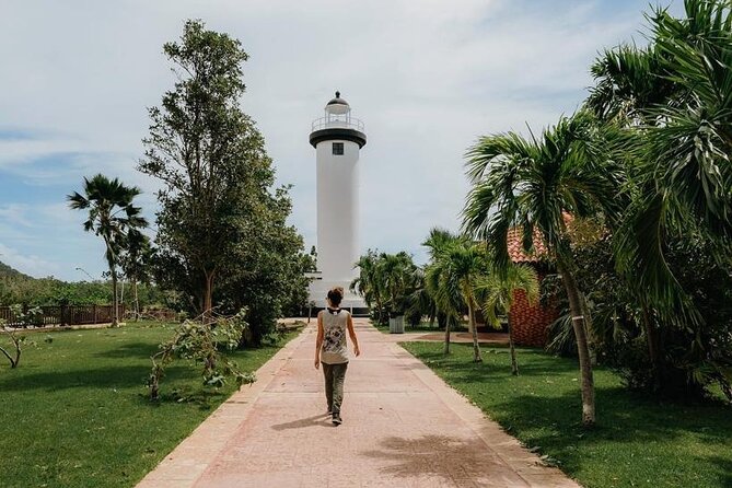 Rincon Tour Sunset & Nightlife Experience - Who should book this evening