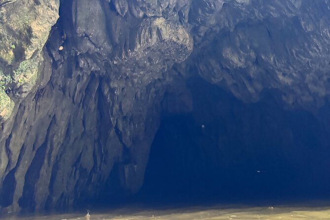 River Cave Swimming with TRANSPORTATION - The Hike Into Vega Baja’s River Caves