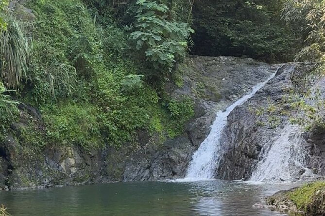 Salto de Pilar Cliff Jumping Tour - A forest walk before the water