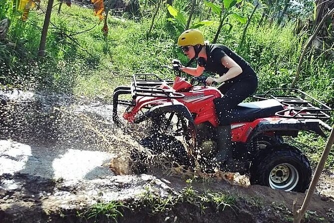 San Juan 2-hour ATV / Minutes away from most Hotels in the area - Riding your own 4x4 ATV across the property