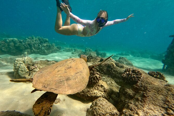 San Juan Guided Snorkel With Turtles Tour and Videos - What the San Juan snorkeling tour is really like