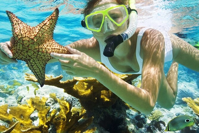 San Juan Guided Snorkeling Experience - With Transport 8am or 3pm - What the El Escambrón outing is really like