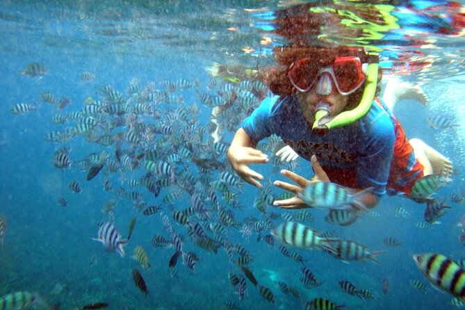 San Juan Guided Snorkeling Experience - With Transport 8am or 3pm - What is included, and what you still need