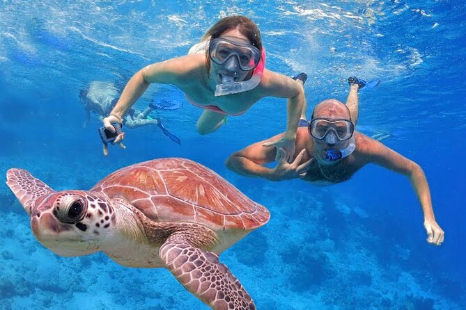 San Juan Guided Snorkeling Experience - With Transport 8am or 3pm - Cancellation and weather details