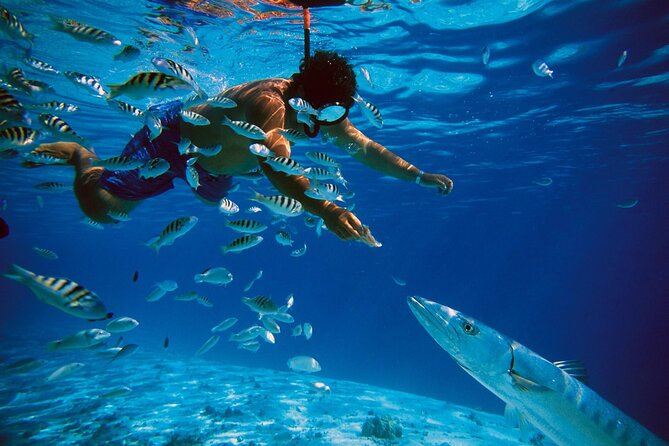 San Juan Guided Snorkeling Experience - With Transport 8am or 3pm - My take on the $89 price