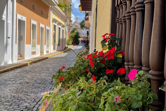 San Juan Highlights Driving Tour - Piñones offers the most local-feeling finish
