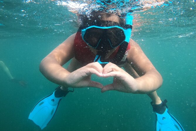 San Juan: Kids and Family Snorkeling Adventure with Videos - From juvenile fish to green sea turtles