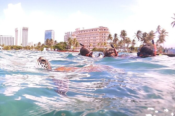 San Juan: Kids and Family Snorkeling Adventure with Videos - Timing, weather, and water clarity