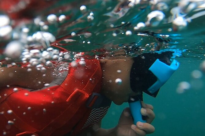 San Juan: Kids and Family Snorkeling Adventure with Videos - What happens on the beach