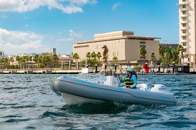San Juan Mini Boat Tour - What the San Juan Mini Boat Tour is really like