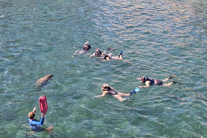 San Juan Snorkel with Turtles and Manatee's; Free Video and Rum! - Swimming from Playita del Condado