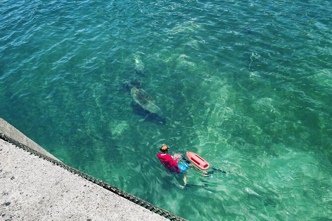 San Juan Snorkel with Turtles and Manatee's; Free Video and Rum! - Guides, group size, and the feel of the outing