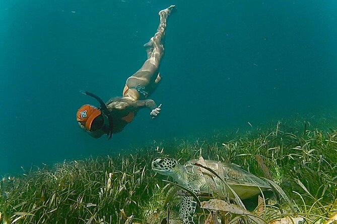 San Juan Snorkel with Turtles and Manatee's; Free Video and Rum! - Price, value, and firm booking rules