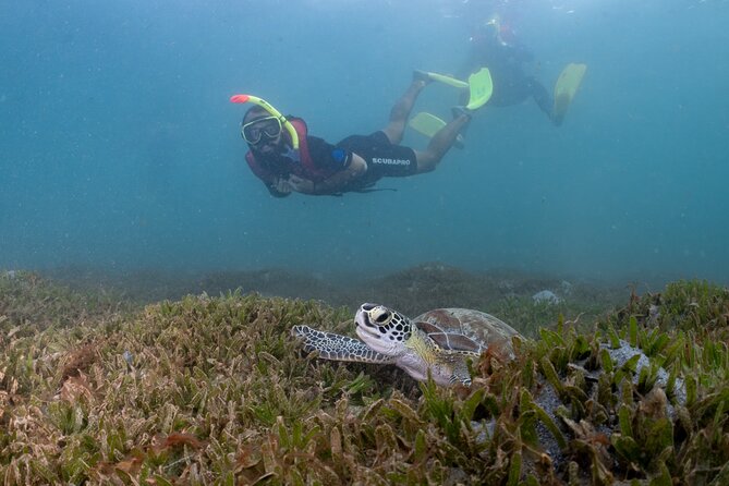 San Juan Snorkeling Tour with Fish and Turtles - The facilities make the $67 price easier to understand