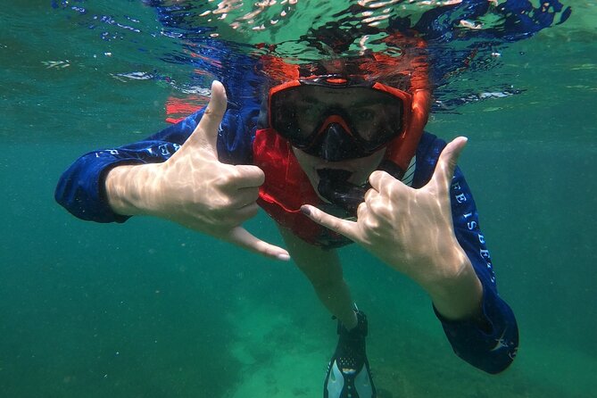San Juan: Snorkeling with Turtles Adventure and Free Videos - Guides who make first-timers feel at ease