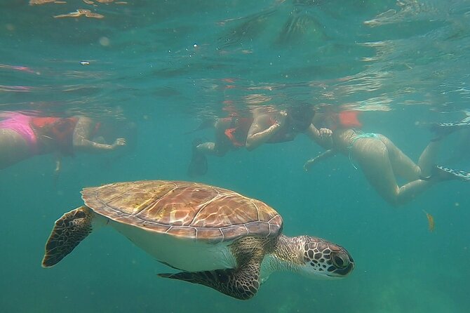 San Juan: Snorkeling with Turtles Adventure and Free Videos - Free videos are a real part of the value