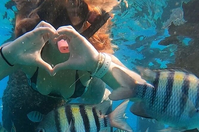 San Juan: Snorkeling with Turtles Adventure and Free Videos - Who should book this beach snorkel