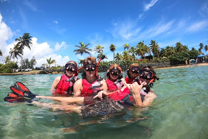 San Juan: Snorkeling with Turtles Adventure and Free Videos - Meeting the turtles from the beach