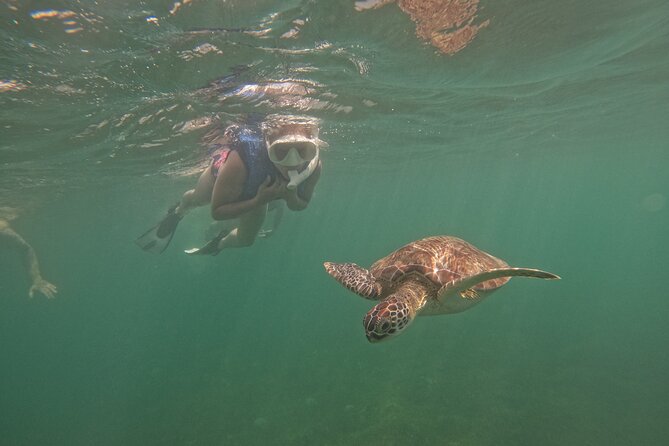 San Juan Turtle Spotting Snorkel Adventure with Videos - El Escambrón is a practical turtle-spotting site