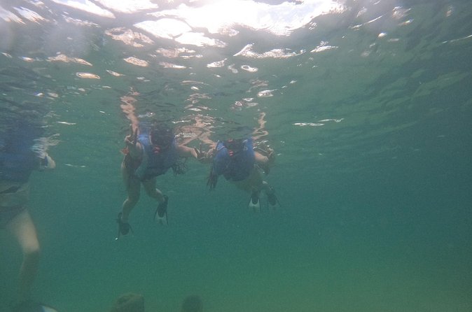 San Juan Turtle Spotting Snorkel Adventure with Videos - The included videos add real value