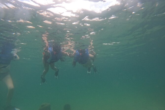 San Juan Turtle Spotting Snorkel Adventure with Videos - Who will enjoy this most?