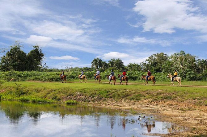 Scenic Horseback Riding Tour from San Juan - A slow ride, with some chances to trot