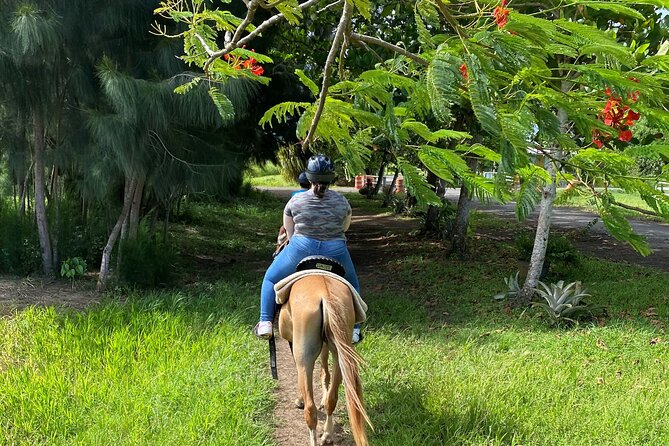 Scenic Horseback Riding Tour from San Juan - The 240-pound rule deserves careful attention