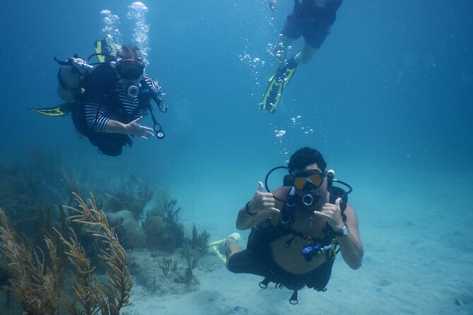 Scuba Dive and Snorkel Private Charter in Puerto Rico - A private morning on Puerto Rico’s east coast