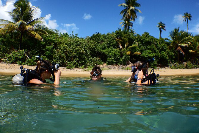 Scuba Dive and Snorkel Private Charter in Puerto Rico - Choosing between SCUBA, snorkeling, and paddleboarding