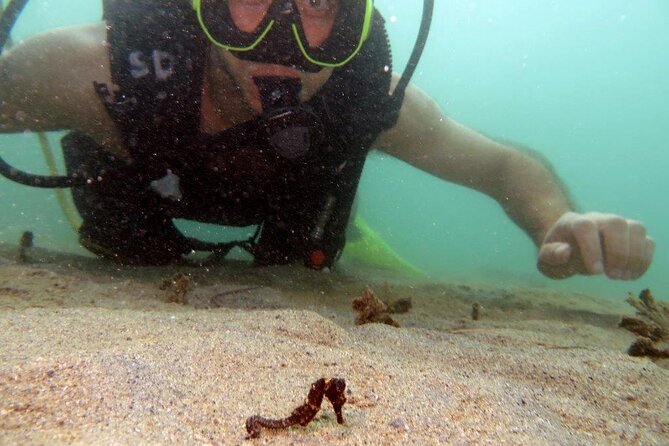 Scuba Tour for Certified Divers in San Juan - How the small-group format affects the outing