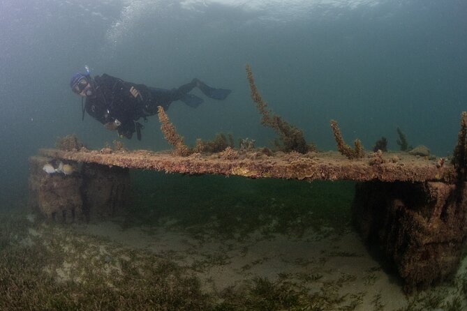 Scuba Tour for Certified Divers in San Juan - Practical details that make the day easier