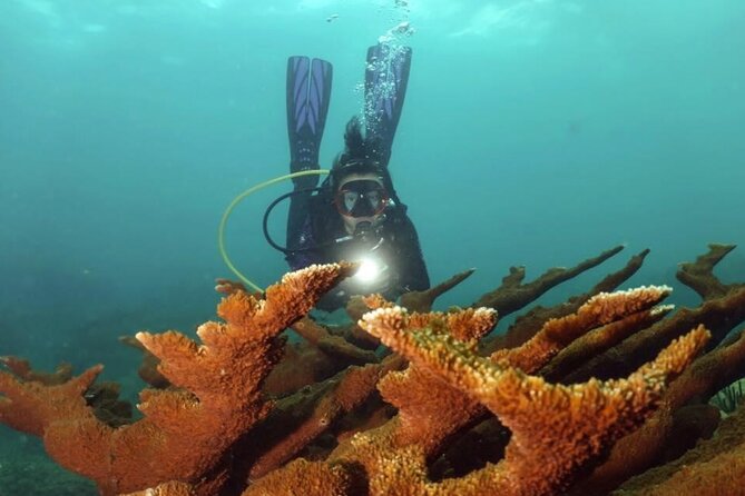 Scuba Tour for Certified Divers in San Juan - What the two-and-a-half-hour visit includes