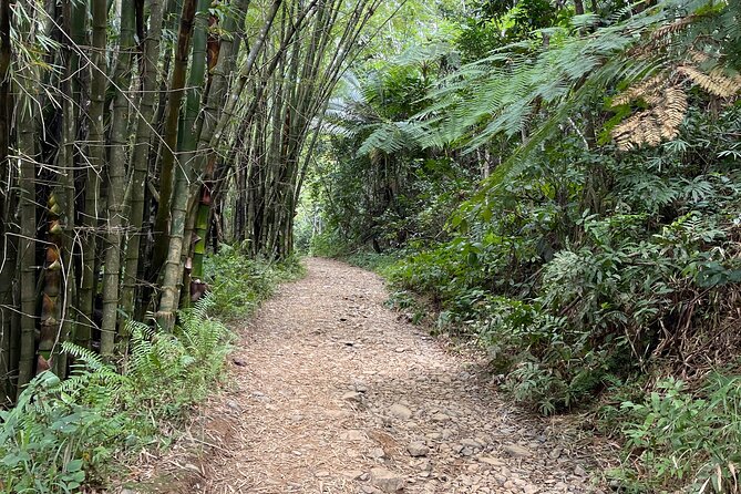 Small Group El Yunque Half Day Tour with Transport: Waterslide - Photos, phones, water, and what to carry