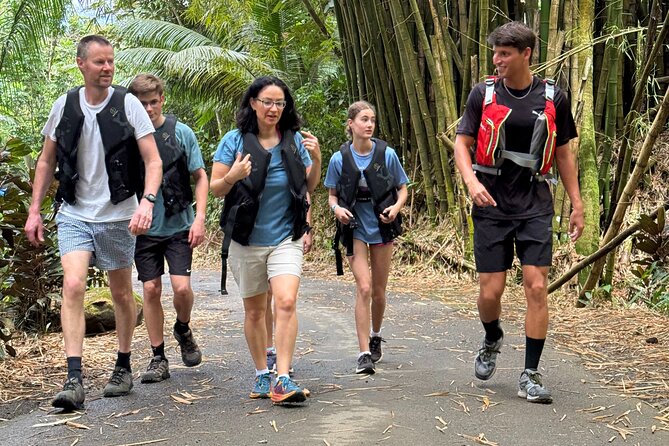 Small Group El Yunque Half Day Tour with Transport: Waterslide - Who should book this adventure?