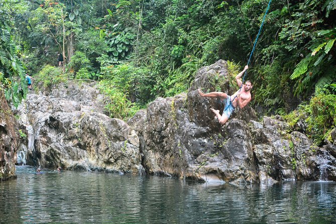 Small-Group El Yunque Rainforest Vivid Day Tour with Transport - The first pool and the second waterfall