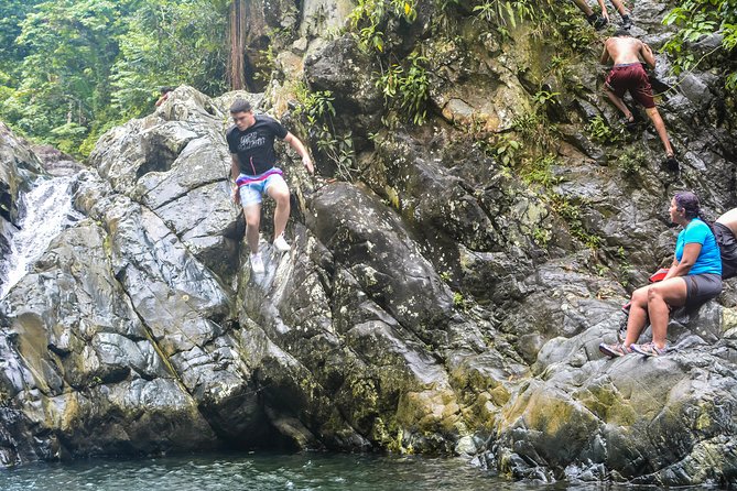 Small-Group El Yunque Rainforest Vivid Day Tour with Transport - Why the water activities change the whole outing